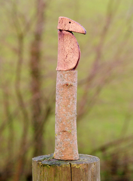 mourning bird